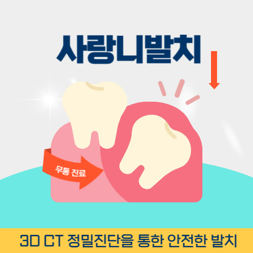 영주치과 영주시 치과 사랑니 발치